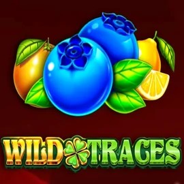 Play the Wild Traces slot by Amusnet Interactive on Spinogrino Casino